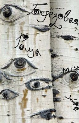 Берёзовая роща 