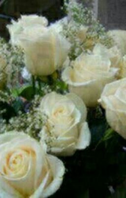 Приключения Ильвиры, Энжела и волка