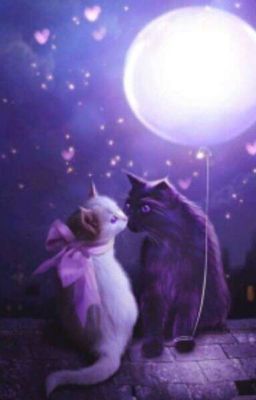 Мир в котором тебя нет