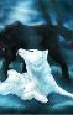 Белая Волчица.