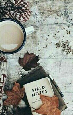 Я у вампиров