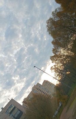 Ярый Детектив Алекс И Его Сложное Дело