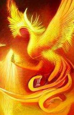 Бессмертный Феникс