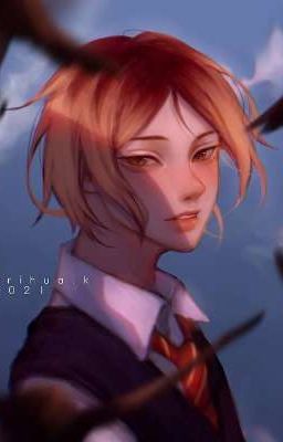 король школы 