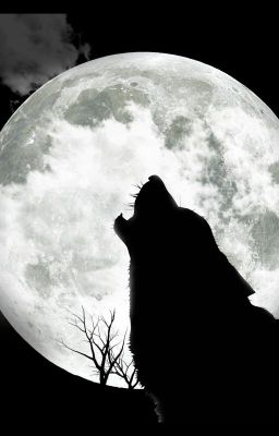 По следам собаки Баскервилей