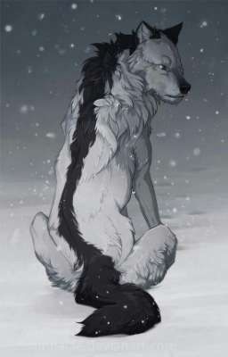 Волчья стая в городе