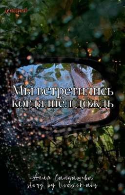 Мы встретились когда шёл дождь