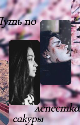 Путь по лепесткам сакуры