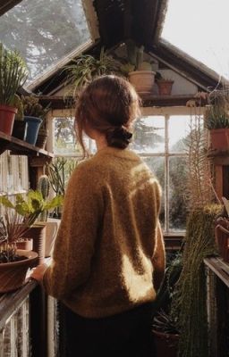 Яблочные дольки