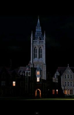 Академия Вампиров.