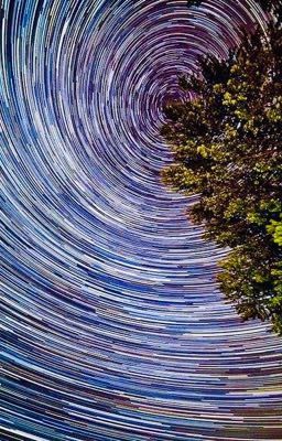 Будущее время 