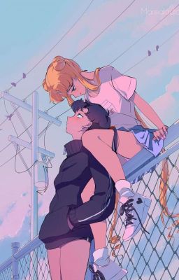 розовые обои