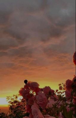 Ͽӄӡσρҵμϲτ/Ϻμϕσμϲӄατελƅ 2