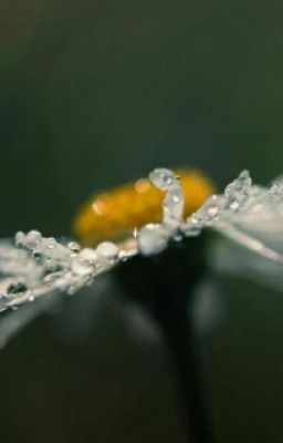 Психологический тест "Дом-Дерево-Человек"