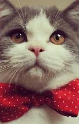 Дневник Кота Мурзика