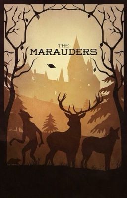 Тайны карты мародёров 