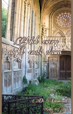 Не каждая ночь заканчивается рассветом.