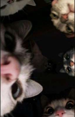 Приключения мальчишки... 