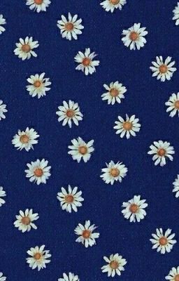 Мечты исполнимы.