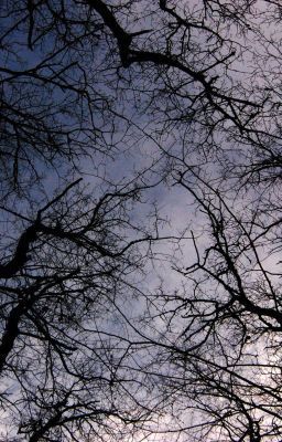 Бенефис под кухонной лампочкой