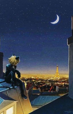 Веточка сирени // Фанфик по "Леди Баг и Супер-Кот"