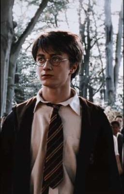 Гарри Поттер и Т/и♥