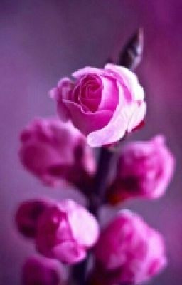 Не кури малышка 