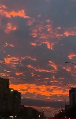 Самая понятная история 