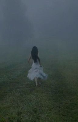 Наследие шторма