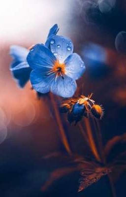 все же он не для меня