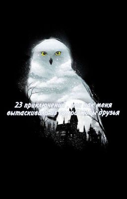 23 приключений , или как меня вытаскивали из самой жопы друзья