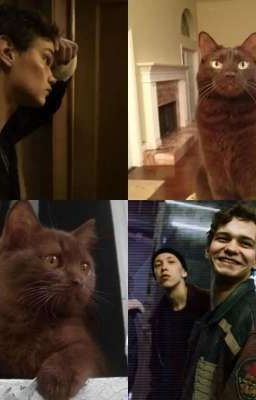 Малышка в руках Турбо 