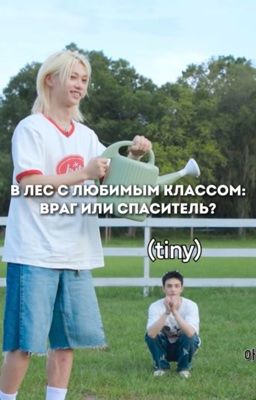 Враг или спаситель? (Хёнликсы, хоррор)