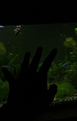 Привет детки