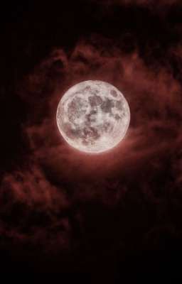 Одним планом одну жизнь!