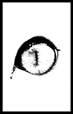 Кошачье зрение