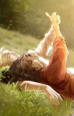 работа трактористом 