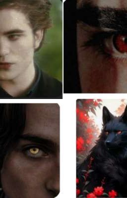 Мой Вампир 🌹или же Оборотень🐺?