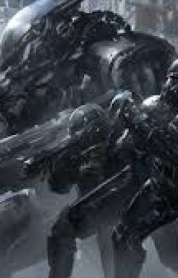 Спецотряд "Кровавая роза"