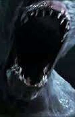 Наблюдатель