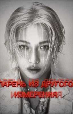 Парень из другого измерения (хёнликсы)