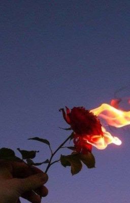 Познакомимся вновь?