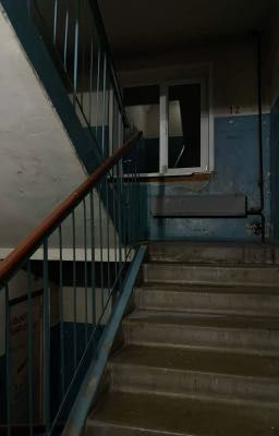 Переезд Лили