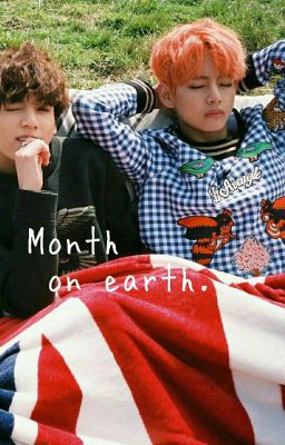 Месяц на земле.