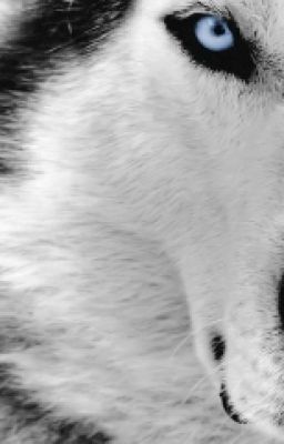 Заклятые враги