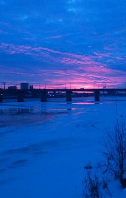 Мандариновый Экспресс.Стихи.