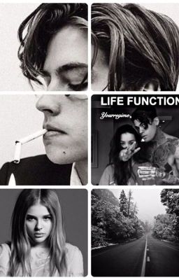 Функция жизни