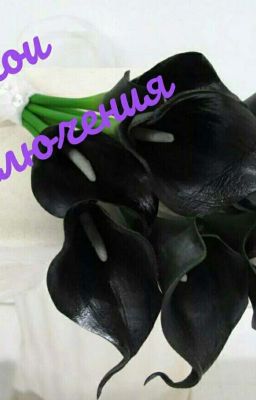 Мои приключения...