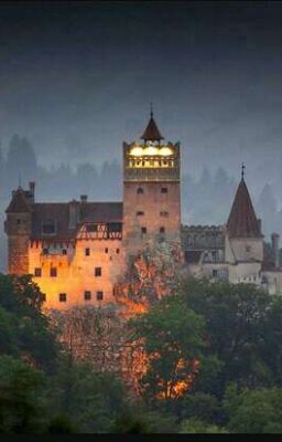 Школа имени Дракулы.