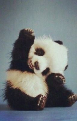 Истрия про девченку Катю